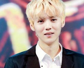 爆料鹿晗舔狗视频大全,揭秘明星背后的真实情感